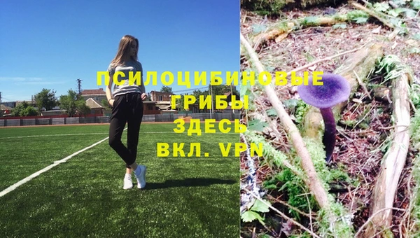 a pvp Михайлов
