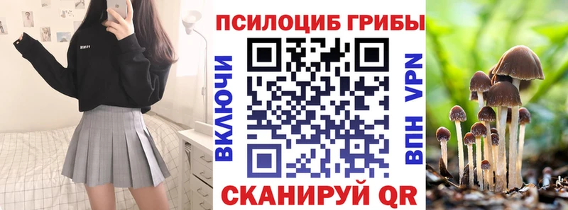 Галлюциногенные грибы мицелий  наркота  Тихвин 