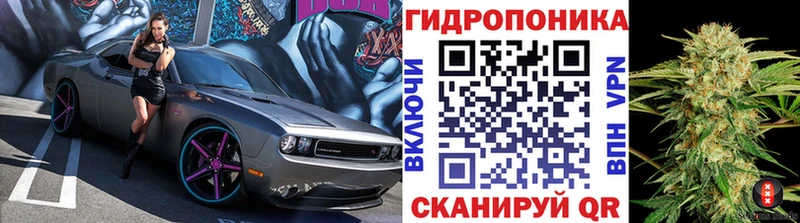 где найти наркотики  Тихвин  MEGA зеркало  МАРИХУАНА Amnesia 